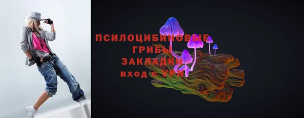 ПСИЛОЦИБИНОВЫЕ ГРИБЫ Богородицк