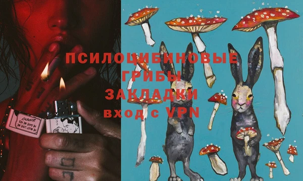 кокс Богданович