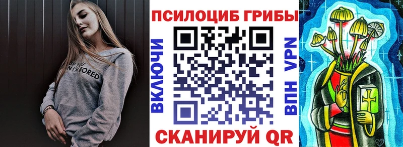 Галлюциногенные грибы Psilocybine cubensis  Козьмодемьянск 